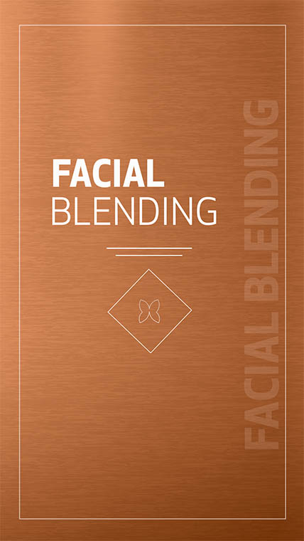 Facial Blending